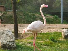 -沈阳森林动物园