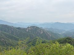 -大岭沟猕猴桃谷风景区