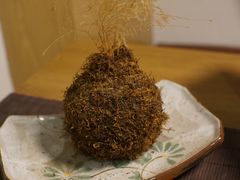 -柴务处·柴犬主题狗咖