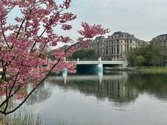-新江湾城公园
