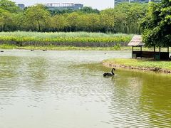 -顺峰山公园