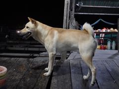 -海上驿站渔家菜馆