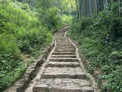 -五泄景区