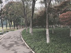 -后襄河公园