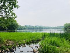 -西院1号(龙井店)