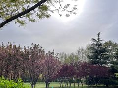 -欧韵公园