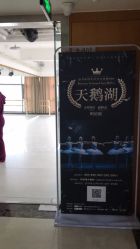 -艾薇芭蕾艺术中心