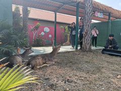 -莆田亚特湾水上乐园(原水上欢乐谷)