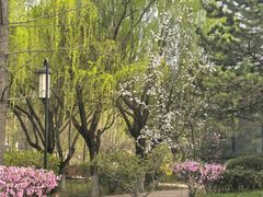 -鹦鹉寺公园