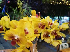 -花二家·生活馆(六运小区店)