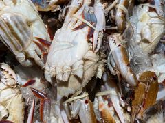 -海吃海喝海鲜烤肉餐厅