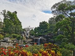 -东莞植物园