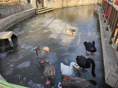 -南宫五洲植物乐园