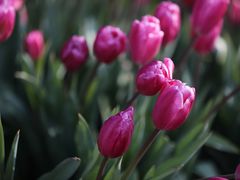 -无锡新湖铂尔曼大酒店