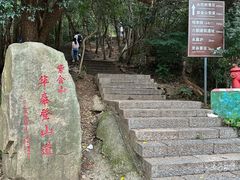 -紫金山山顶公园