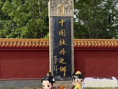 -曹州牡丹园