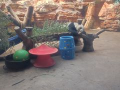 -石家庄市动物园