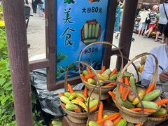 -野象谷景区