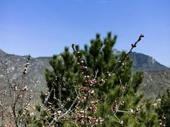 -天津盘山风景名胜区