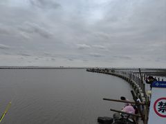 -南汇嘴观海公园