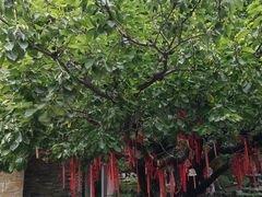 -天毓山庄·餐厅