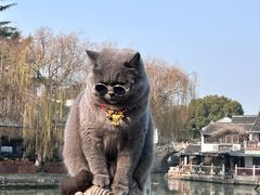 -锦溪古镇