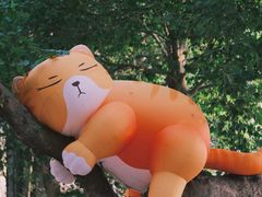 -西安电影制片厂