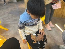 -神奇动物撸宠馆·羊驼·小浣熊·异宠(豫园店)