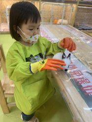 -萌宠家互动乐园