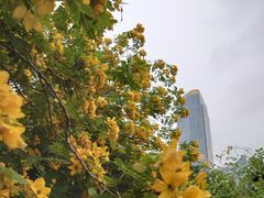 -天河体育中心