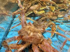 -王庄阿咪海鲜大排档·专注本港海鲜·二十年地道福州味(象园店)