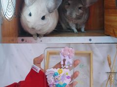 -A+匠心DIY手工坊·首饰·微景观
