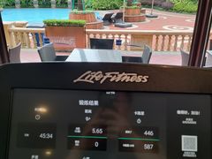 -上海虹桥西郊庄园丽笙大酒店
