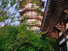 -洋湖国家湿地公园