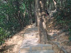 -梧桐山风景名胜区