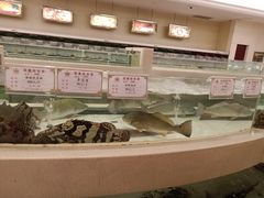 -白金汉爵大酒店(相城店)