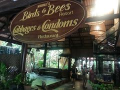 -卷心菜和避孕套餐厅(Pattaya)
