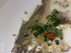 -半岛太子酒家(海港城店)