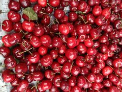 -江苏炒货(康德国会山店)