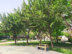-唐城墙遗址公园