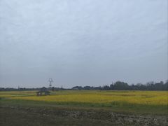 -中国天府农业博览园