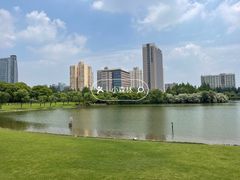 -黄兴公园