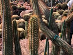 -南通洲际绿博园