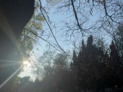 -庾园