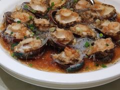 小鲍鱼-顺风海鲜港(金玉兰店)