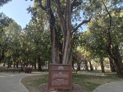 -北京市劳动人民文化宫(太庙)