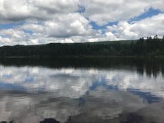 -五营红松林海景区