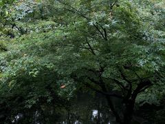 -虎跑公园