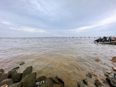 -南汇新城海滩