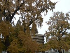 -北京石刻艺术博物馆(五塔寺)